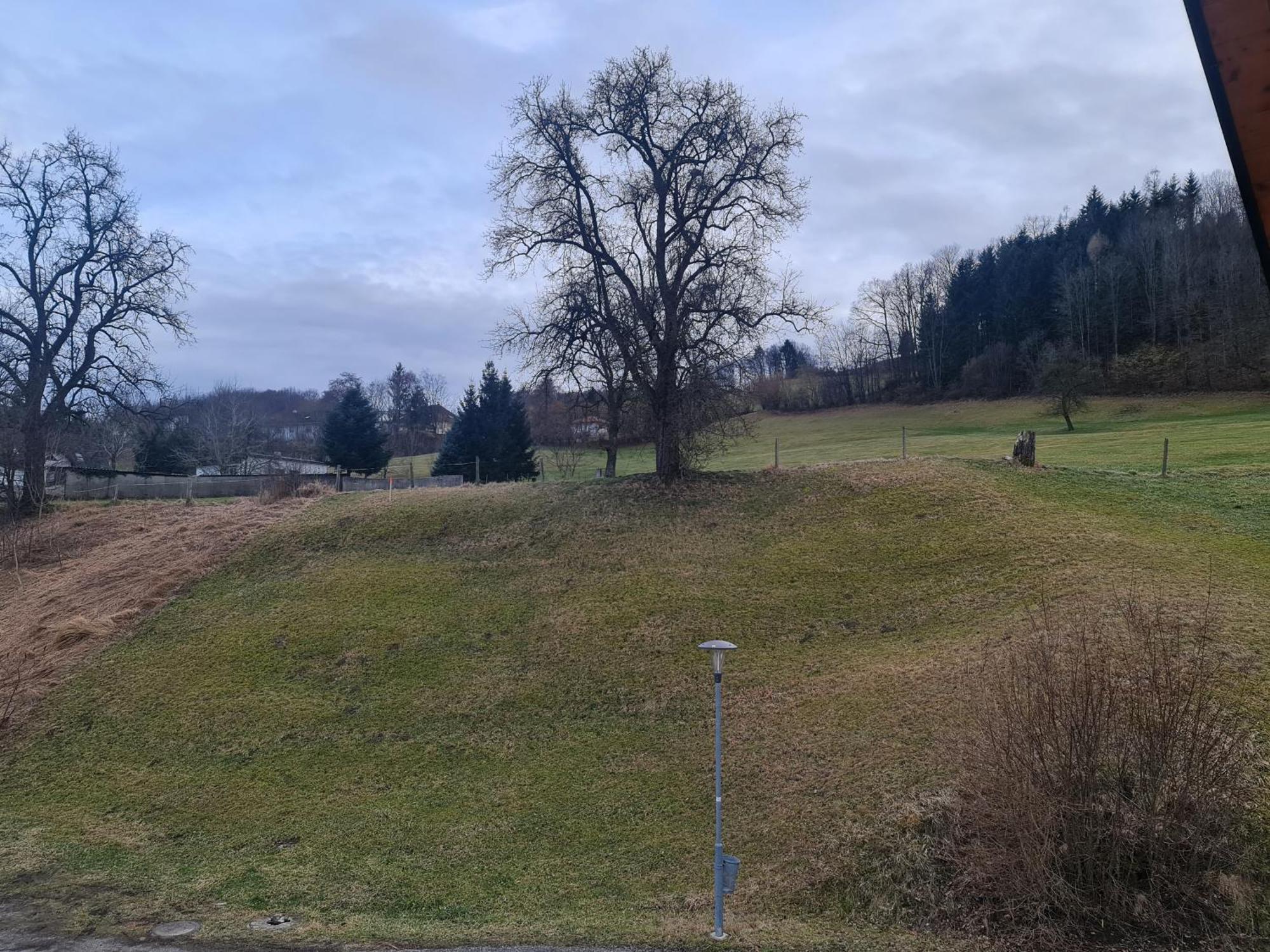 Apartment Has Traisen